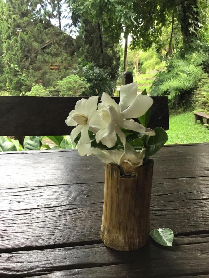 Phutarntree Resort Chiang Mai Eksteriør bilde